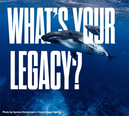 Name WHOI as a beneficiary