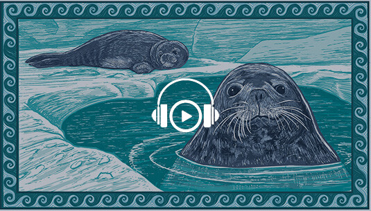 Listen to Antarctic Bestiary Part II: Weddell Seals